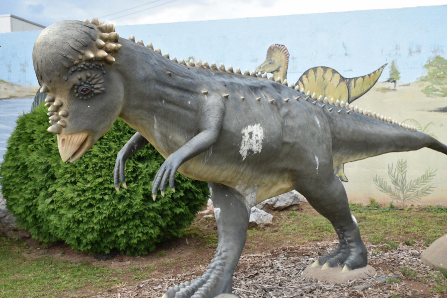 NEKE STVARI SE DOVODE U PITANJE Više od pola amerikanaca sa sigurnošću tvrdi da dinosaurusi i dalje nastanjuju našu planetu!