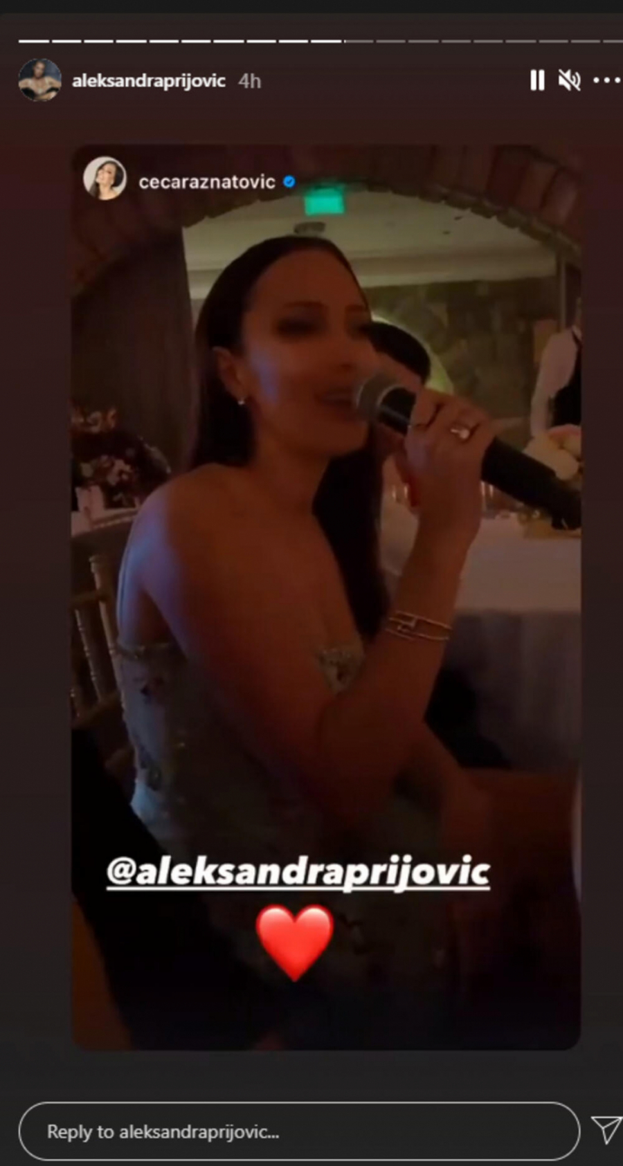 GOSTI PALI U TRANS Prijovićka zapevala na Anastasijinom rođendanu i dovela atmosferu do usijanja,  orile se pesme zbog kojih su gosti popili po čašicu više (VIDEO)