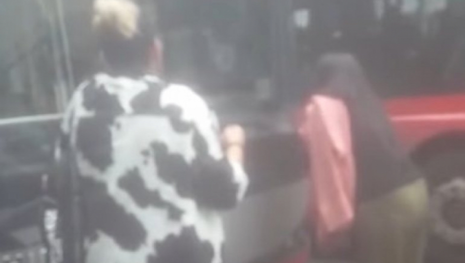 ŽENA STALA ISPRED AUTOBUSA U ZEMUNU: Šutirala, udarala i napravila haos na ulici!