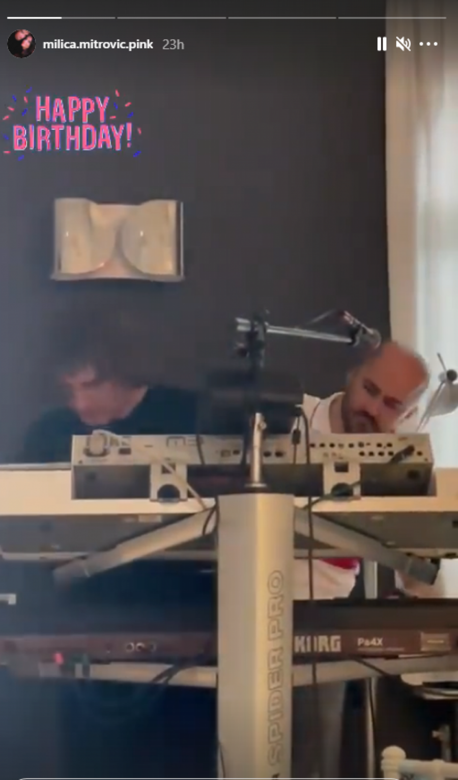 ŽELJKO MITROVIĆ PROSLAVIO ROĐENDAN Sve prštalo od luksuza u porodičnom domu, supruga Milica čestitkom rasplakala sve prisutne!