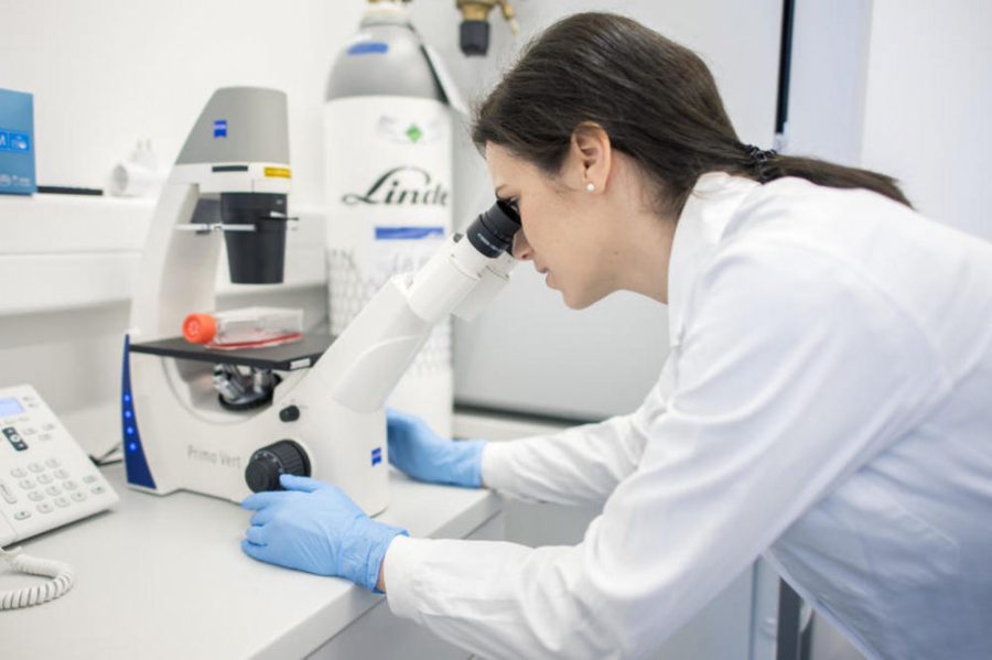 INDIJCI I EGZIT GLAVNA ATRAKCIJA U SRBIJI Šta im je zajedničko, evo i odgovora