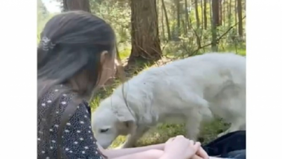 Mislile su da je pas došao da se mazi, ali onda se dogodio neočekivani obrt: Devojke su samo nemo gledale