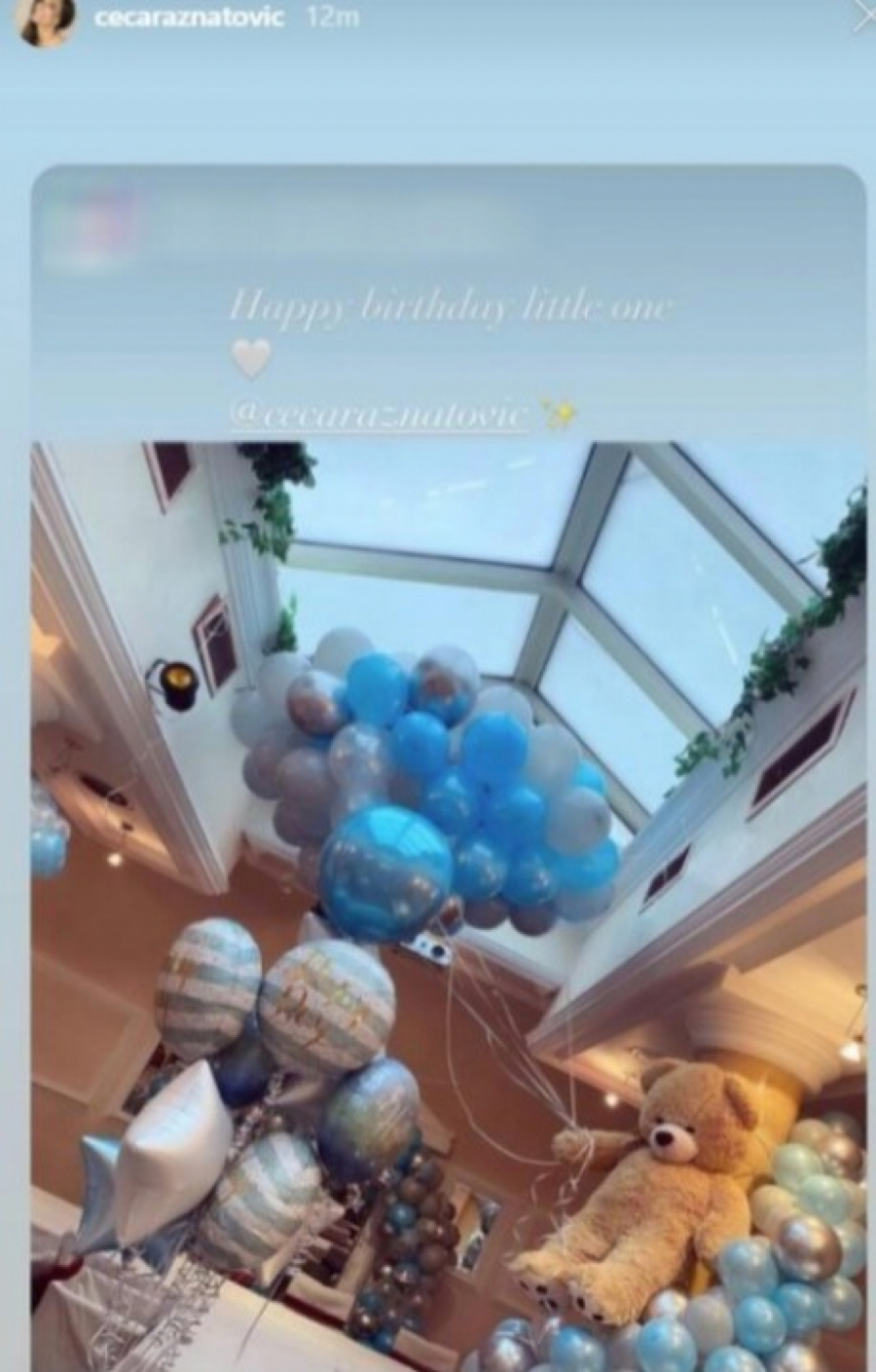 RASKOŠNA DEKORACIJA U DOMU RAŽNATOVIĆEVIH Sve je spremno za gala proslavu prvog rođendana Cecinog unuka, pevačica pokazala delić atmosfere (FOTO)