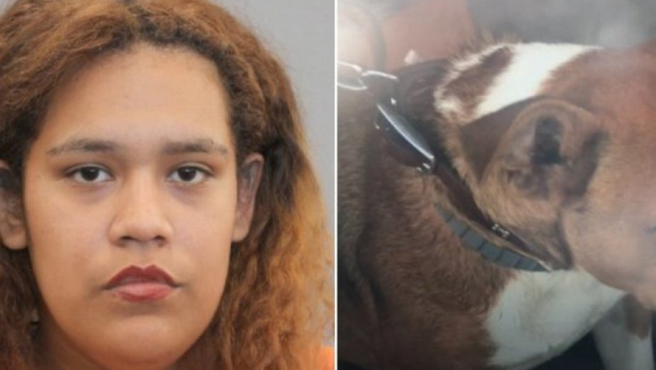 PUCALA NA PSA, METAK POGODIO NJENO ROĐENO DETE! Stravična scena na ulici Teksasa (FOTO/VIDEO)