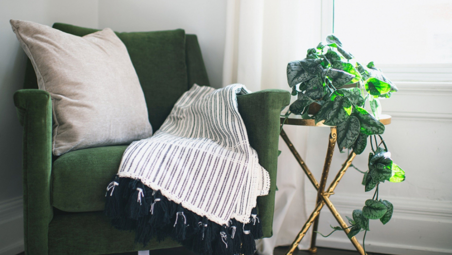 Popularna PUZAVICA: Evo kako da pravilno negujete bršljan i oplemenite dvorište i dom