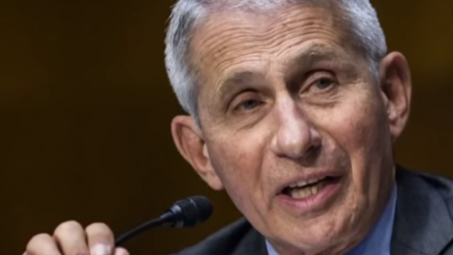 KORONA U BUDUĆNOSTI Sezonski virus ili stalna borba?!