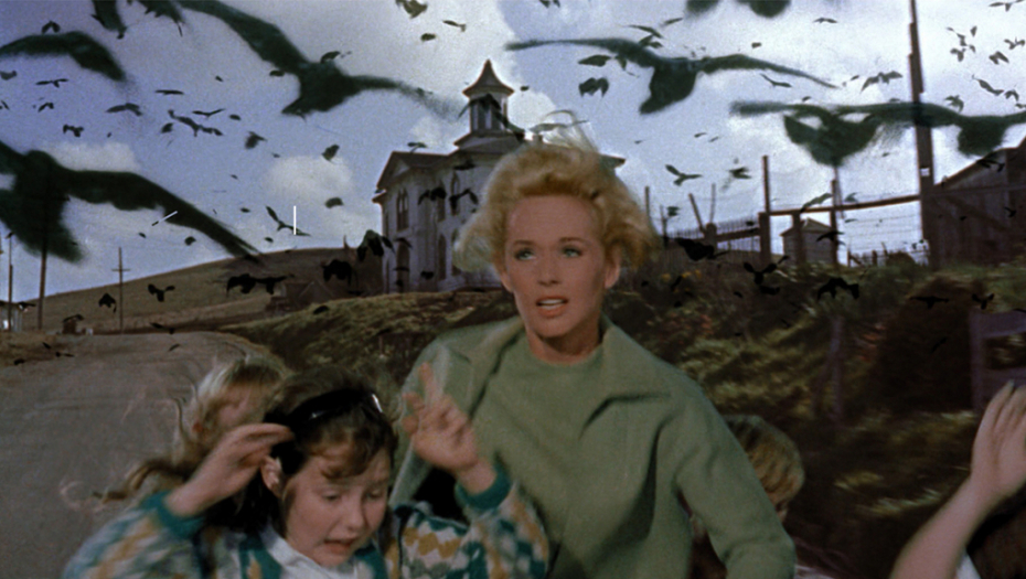 KAO U HORORU, ZALEĆU SE NA ŽENE I DECU: Učestali napadi vrana, lekari ne pamte toliko teške povrede