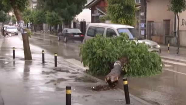 JAKO NEVREME POGODILO VRANJE: Olujni vetar rušio drveće, na ulicama potop (VIDEO)