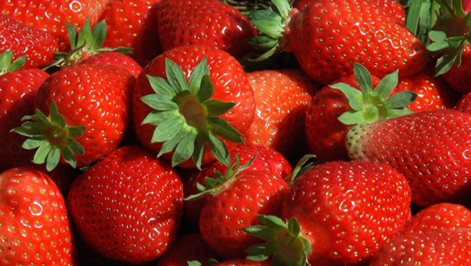 BUDITE NA OPREZU Jagode su odlične za zdravlje, ali ova grupa ljudi mora da ih izbegava