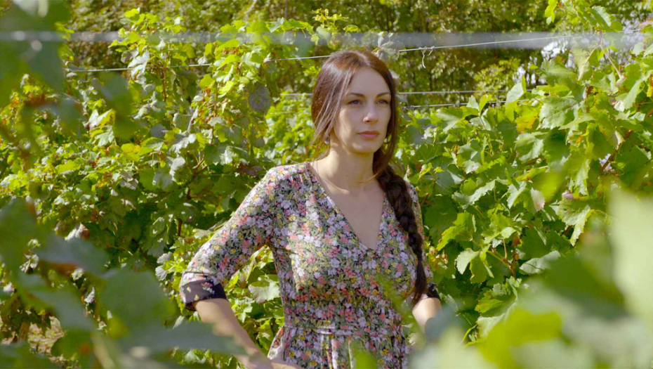 List vinove loze – Jedan od najjačih prirodnih lekova, za srčane tegobe, karcinom, artritis, Kronovu bolest