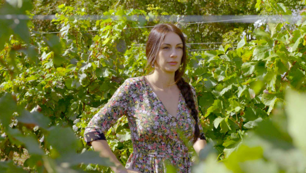 List vinove loze – Jedan od najjačih prirodnih lekova, za srčane tegobe, karcinom, artritis, Kronovu bolest