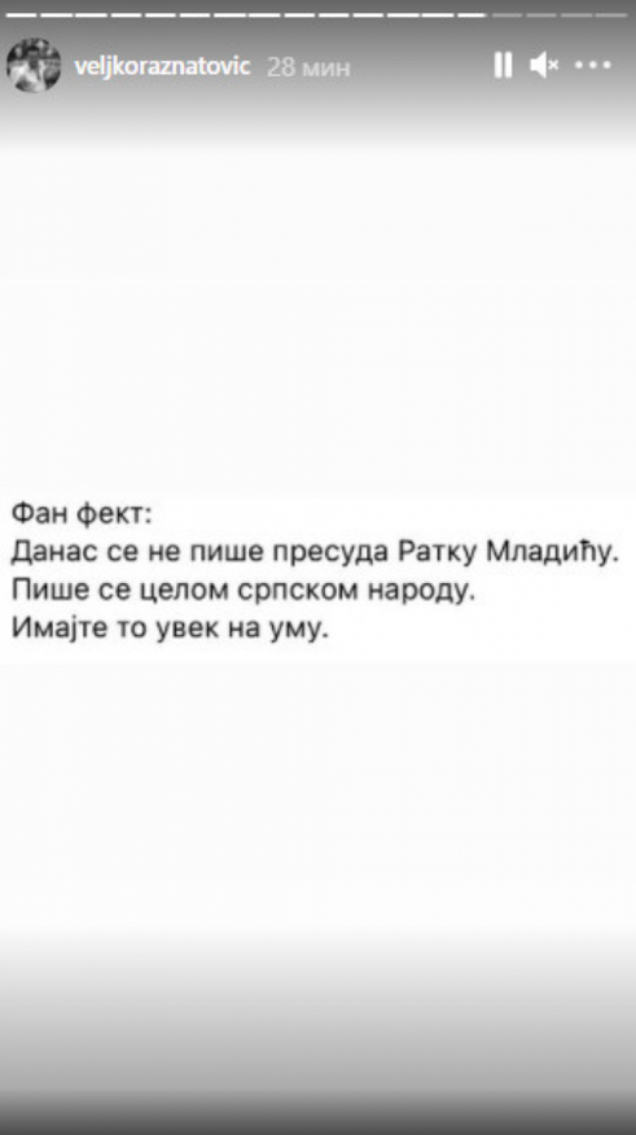NE KRIJE BES! Oglasio se Veljko Ražnatović nakon konačne presude Ratku Mladiću, Srbi će dobro zapamtiti ove njegove reči! (FOTO)