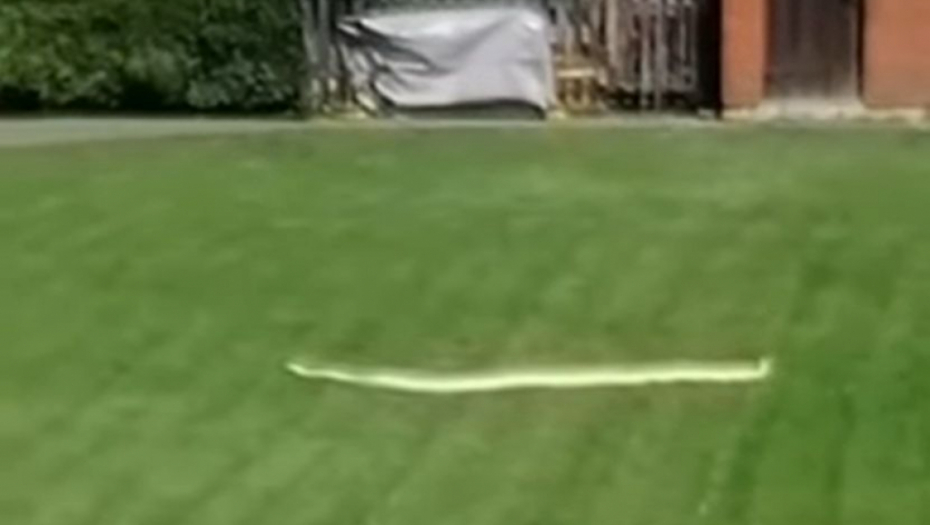 Piton Uroš prošetao Beo zoo vrtom i napravio pometnju: Evo šta je zmija naumila (VIDEO)