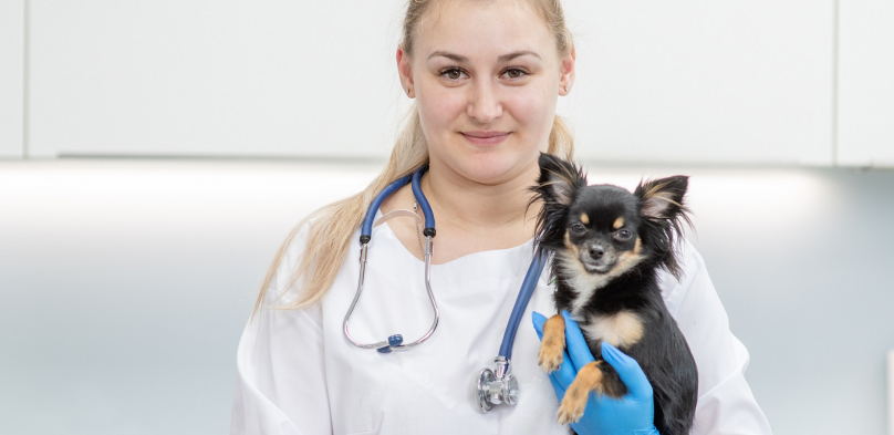 HITNO KOD VETERINARA Kada niste sigurni o čemu se radi, obavezno vodite svog ljubimca kod stručnjaka