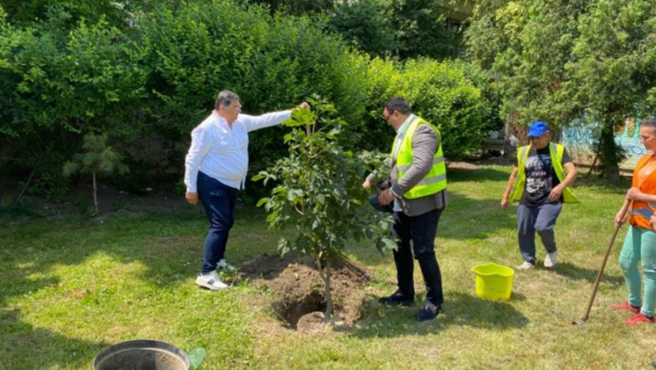 Nove sadnice za zdraviju životnu sredinu u Staroj Pazovi (FOTO)