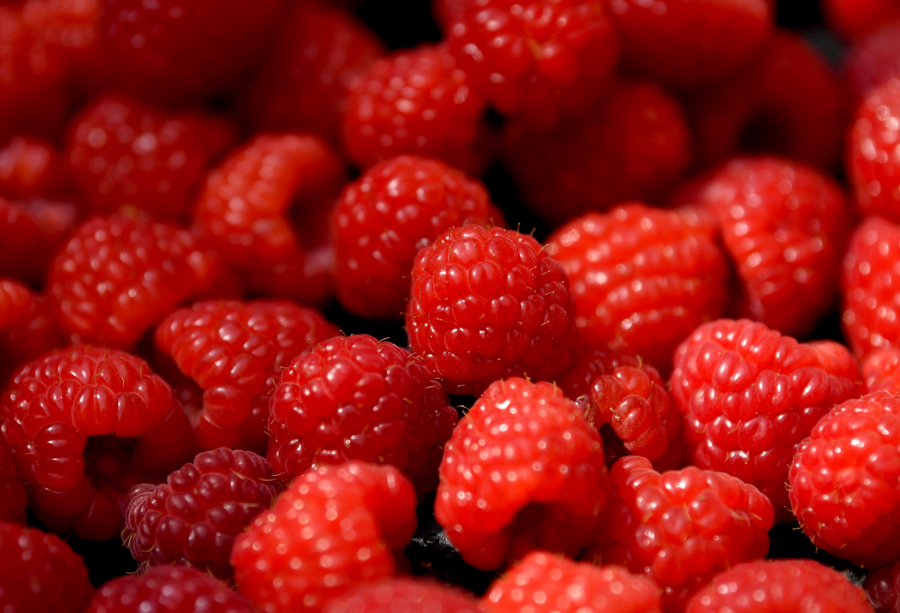 CRVENO ZLATO ĆE OVE GODINE IMATI VISOKU CENU Evo šta se događa u Arilju