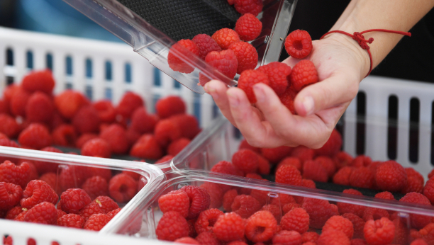 CRVENO ZLATO NAJSKUPLJE U ISTORIJI Za kilogram ovog voća očekuje se cena od 600 do 800 dinara ove sezone!