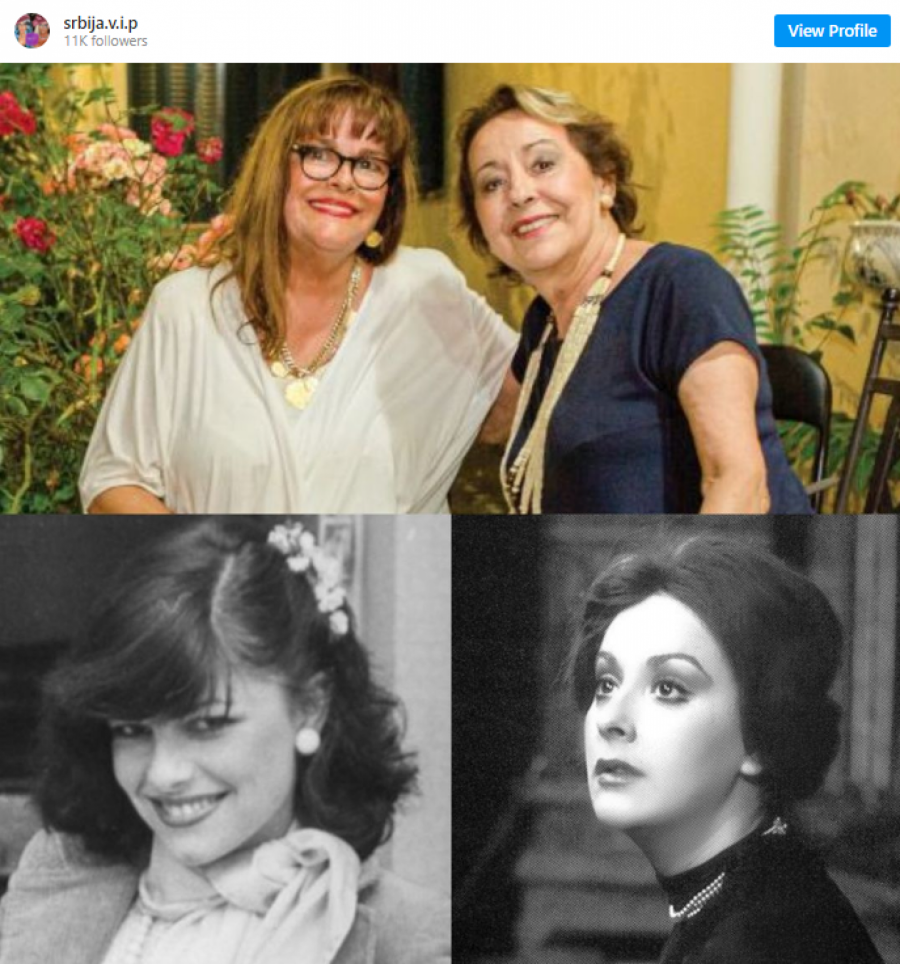 MALO KO ZNA DA SU VEZANE NERASKIDIVOM VEZOM Glumice Svetlana Bojković I Vesna Čipčić su mnogo više od koleginica, dugo su krile ovo od javnosti (FOTO)