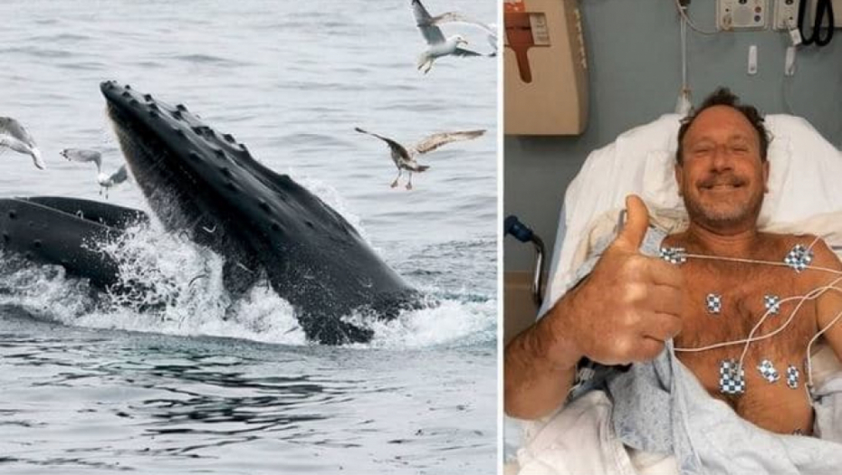 Ovo je čovek koga je progutao kit, ali nakon nekog vremena ga je ispljunuo visoko u vis! (VIDEO)