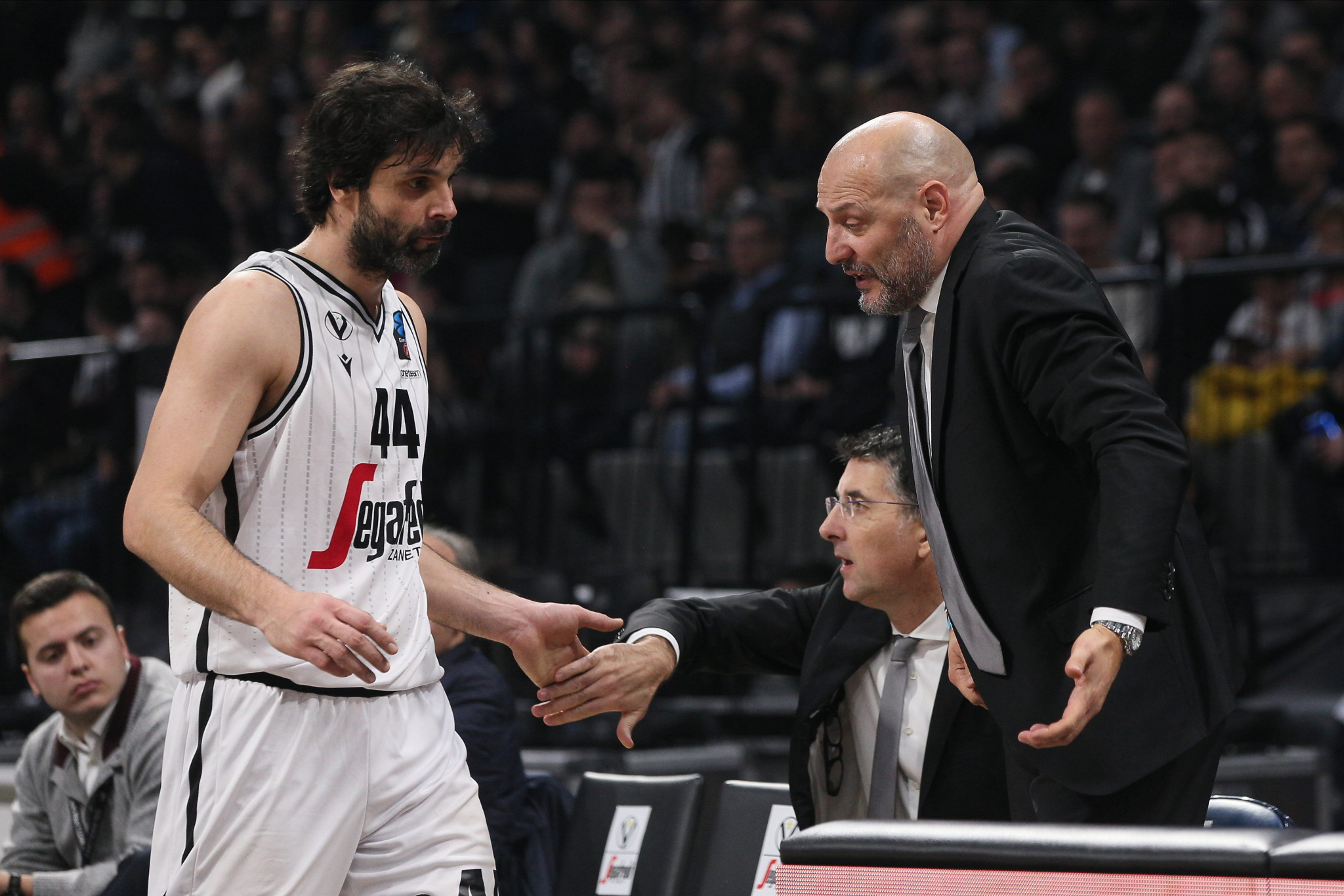 GOTOVO JE! Aleksandar Đorđević više nije trener Virtusa!