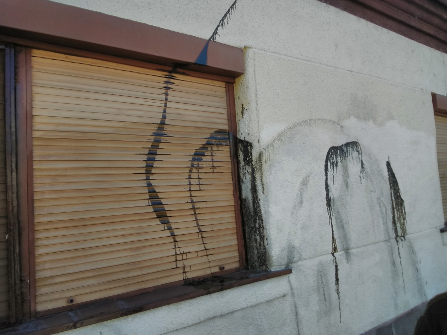 SUROVO IŽIVLJAVANJE U KIKINDI Irena Hološi (83) devet godina ne spava mirnim snom, evo i zbog čega