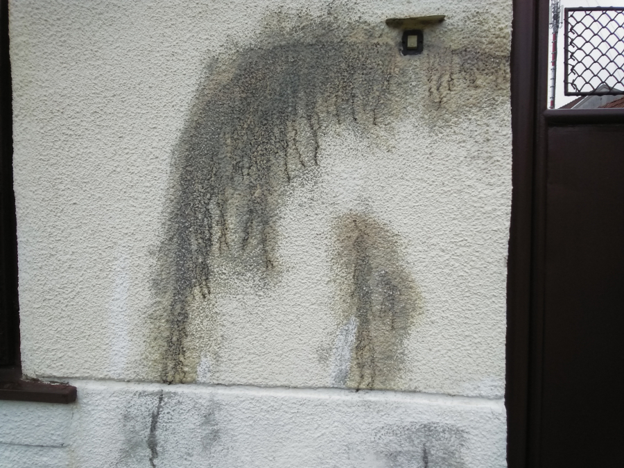 SUROVO IŽIVLJAVANJE U KIKINDI Irena Hološi (83) devet godina ne spava mirnim snom, evo i zbog čega