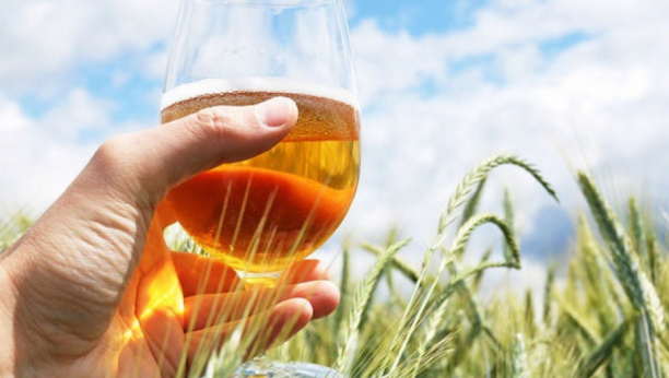 REGULIŠE ŠEĆER, ČUVA SRCE, UBRZAVA METABOLIZAM - 3 čaše ječmene vode dnevno, menja šaku pilula