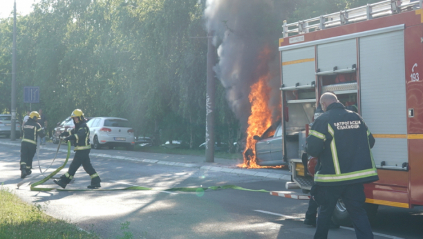 UŽAS NA VOŽDOVCU Gori automobil, vatra preti da se proširi na drveće i rastinje, traje borba vatrogasaca sa stihijom! (FOTO)