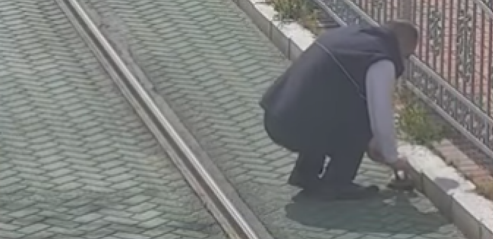 VOZAČ TRAMVAJA ODUŠEVIO CEO SVET Tokom vožnje spasio kornjaču, nadzorne kamere sve snimile (VIDEO)