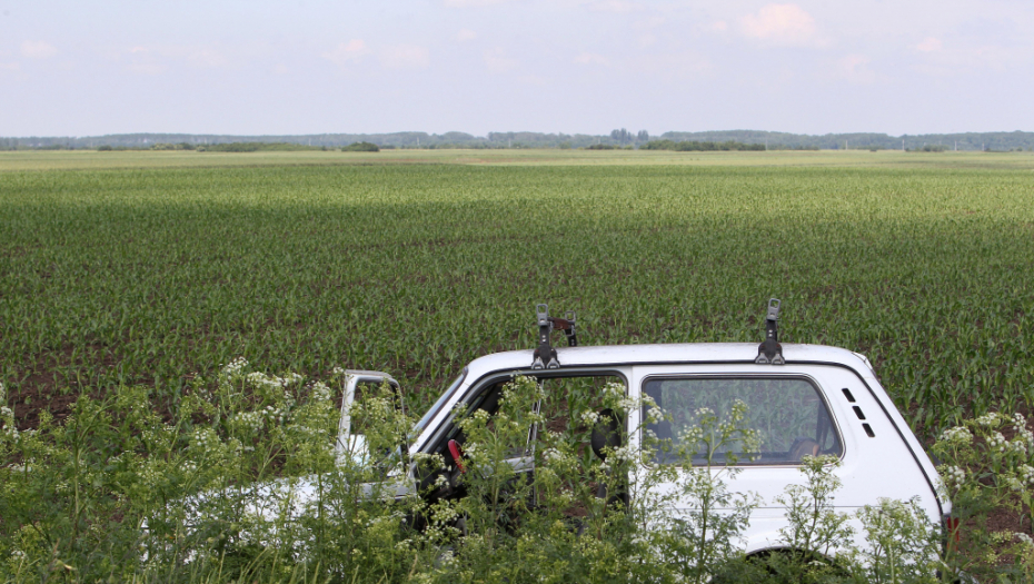 Poljoprivrednici, novac odmah ulažite u ovu biljku! Zarada odlična, a nema mnogo uzgajivača u Srbiji