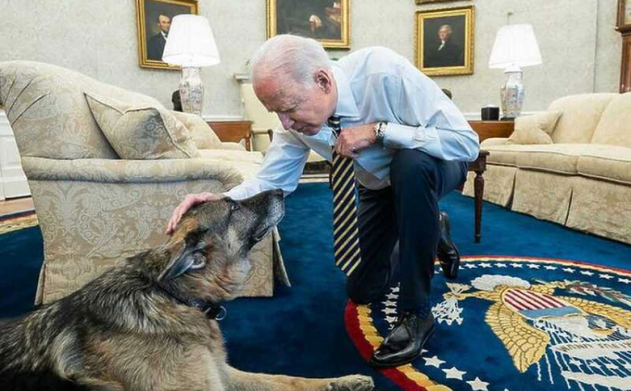 BAJDEN U SUZAMA Ostao bez najboljeg prijatelja, evo kako se od njega oprostio! (FOTO)