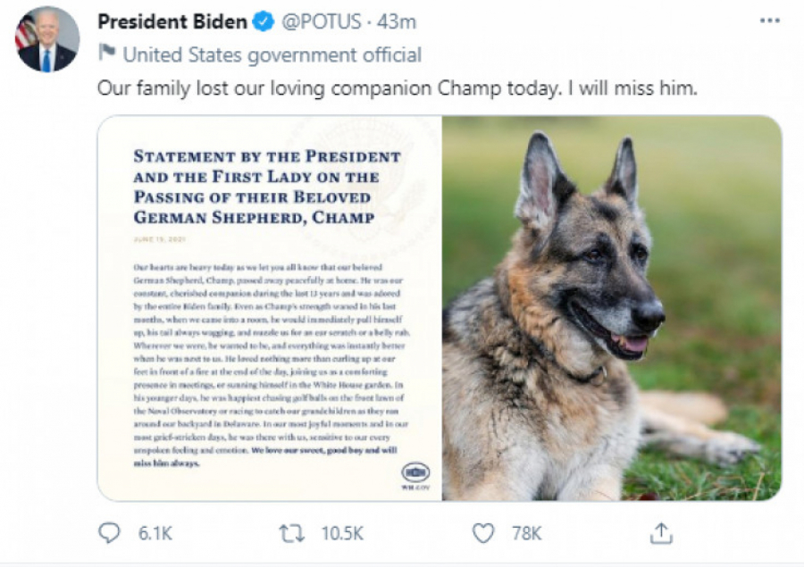 BAJDEN U SUZAMA Ostao bez najboljeg prijatelja, evo kako se od njega oprostio! (FOTO)