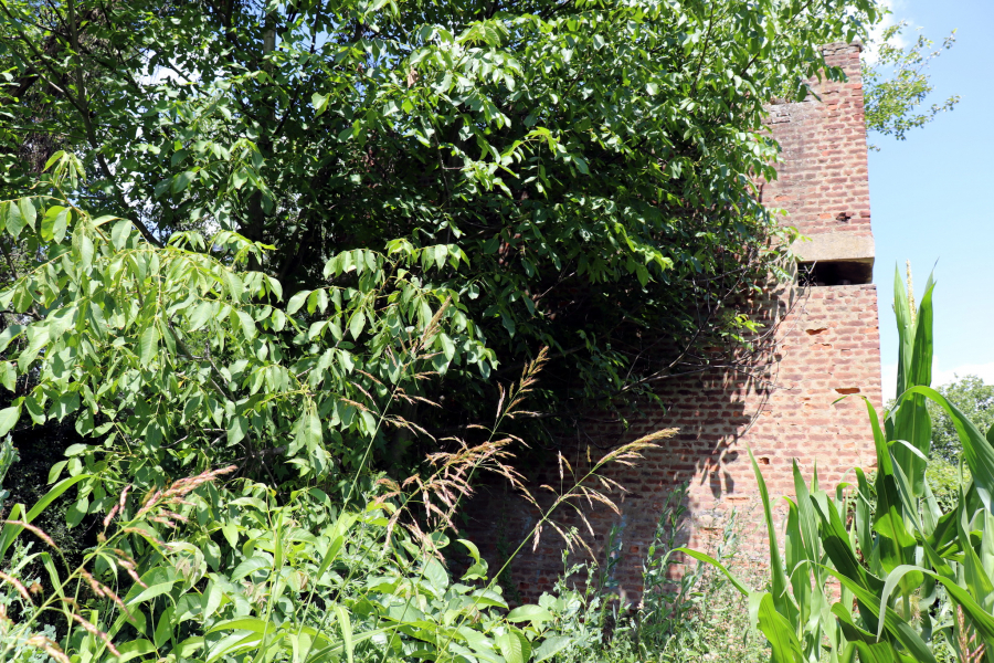 Poznato stanje dečaka kog je ujeo poskok! Lekar upozorava šta nikako ne treba da radite u ovoj situaciji