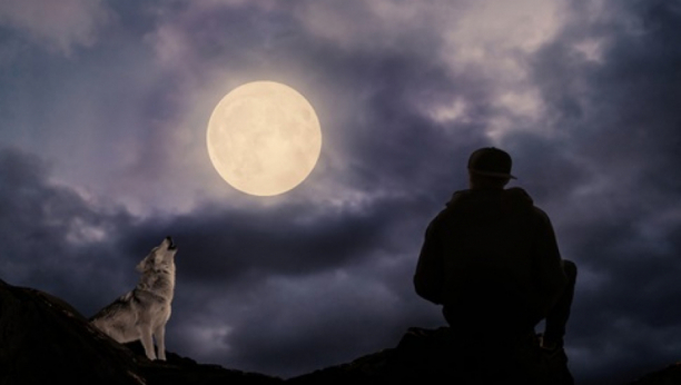 HOROSKOP ZA UTORAK, 22. NOVEMBAR Ovan vuče loše poslovne poteze, Jarac će uspeti u svemu što zamisli, Rak šarmom privlači zanimljivu osobu