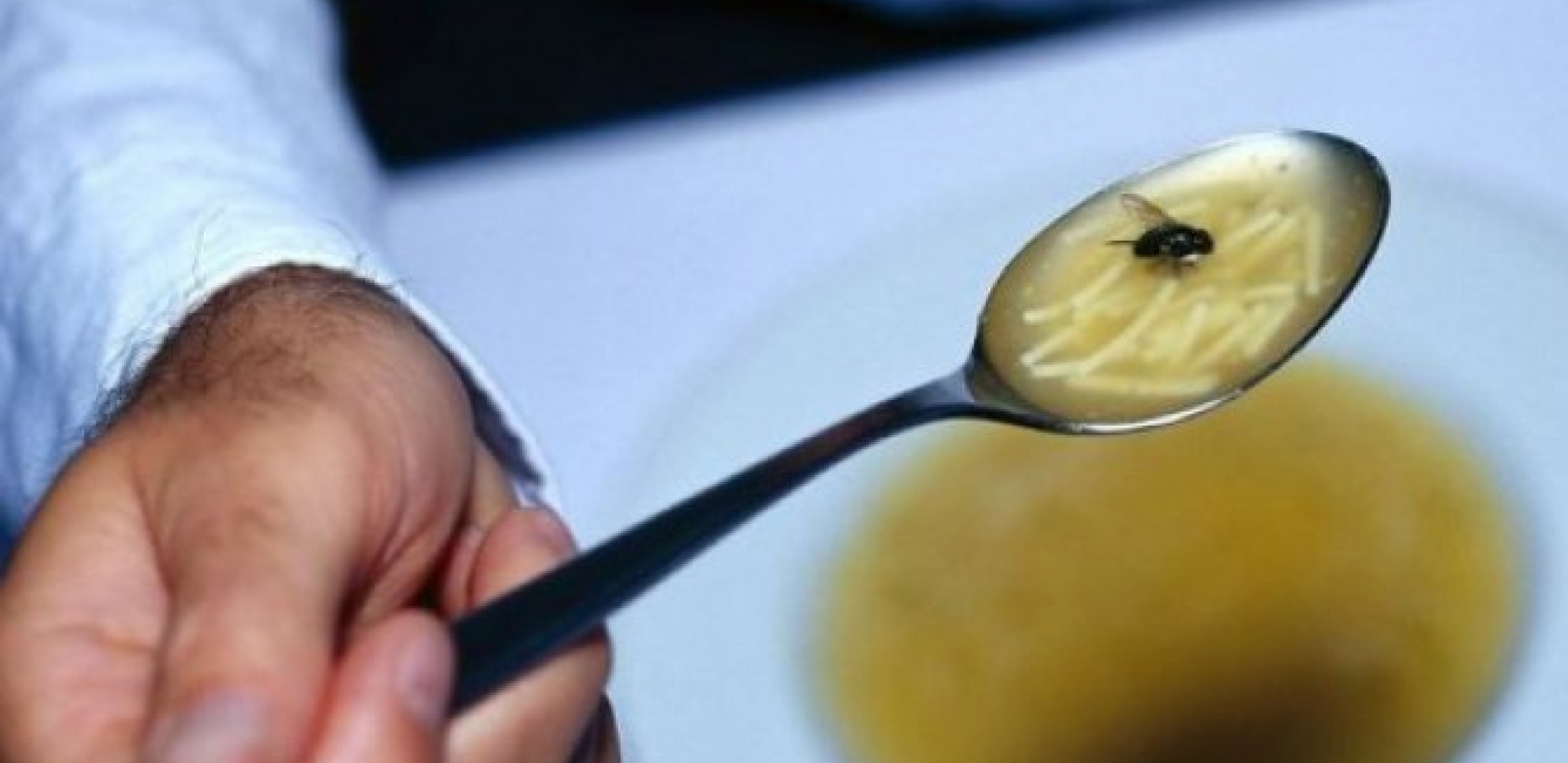 ODVRATNO! POJELI STE HRANU NA KOJU JE SLETELA MUVA! Evo šta vam se može desiti, jedna stvar je presudna