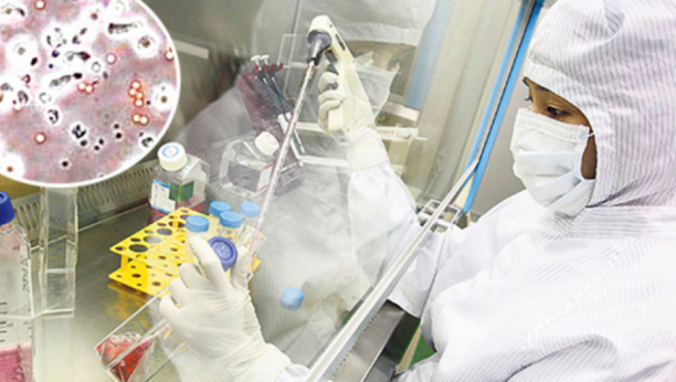 DOKTORKA JASMINA PEEV TVRDI: Četiri najsmrtonosnija kancera se mogu izbeći, evo i kako