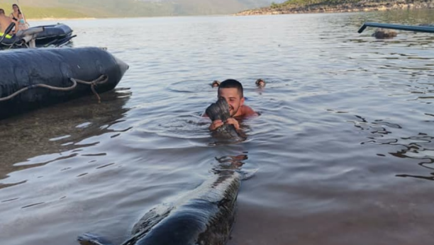 KAKVA ULOVINA Marko na Bilećkom jezeru izvukao soma kapitalca teškog 60 kilograma (FOTO)