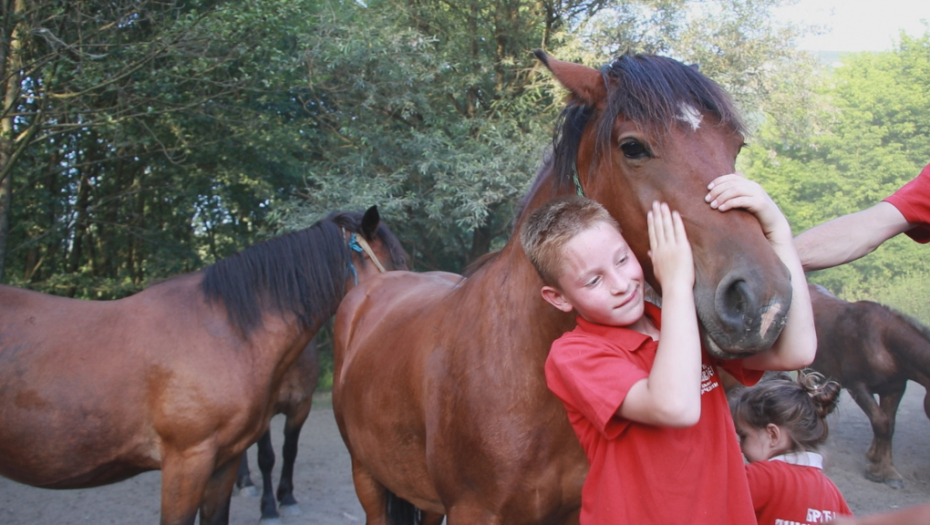 VODA IM JE ODNELA SVE: Milosavljevići su vrednim radom pobedili nevolju koja ih je zadesila (FOTO)