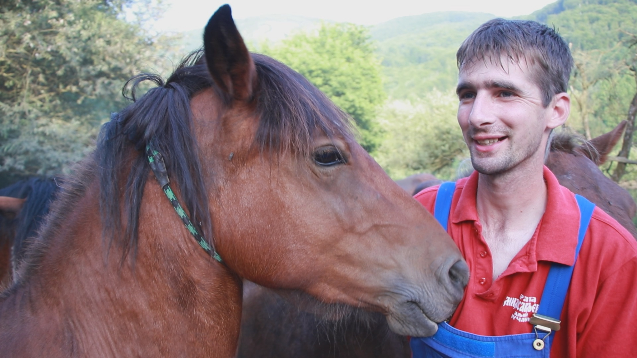 VODA IM JE ODNELA SVE: Milosavljevići su vrednim radom pobedili nevolju koja ih je zadesila (FOTO)