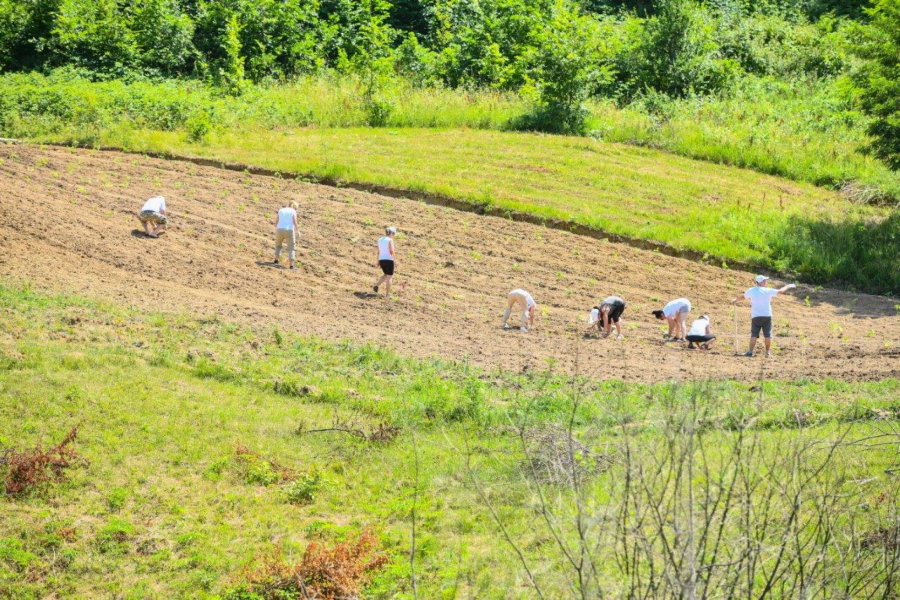 Volonteri kompanije NIS posadili povrće i začinsko bilje u bašti namenjenoj Superherojima iz NURDOR Roditeljskih kuća
