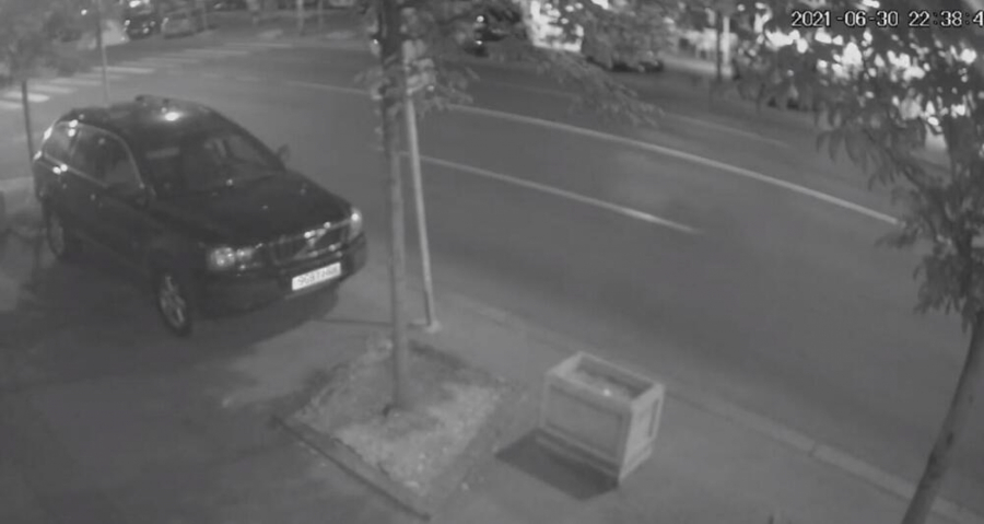 UZNEMIRUJUĆI SADRŽAJ Jeziv snimak nesreće u Beogradu, vozač na pešačkom pregazio psa Ane Mihajlovski umalo stradala i deca (VIDEO)
