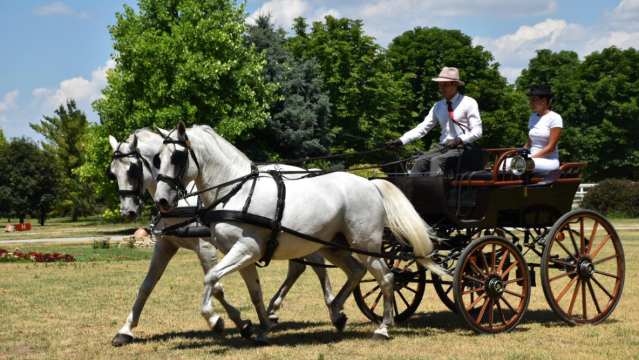 BIRAM SRCEM, BIRAM SRBIJU Palić i Gornje Podunavlje su pravi srpski raj od kog zastaje dah! Turisti iz celog sveta hrle na ova mesta (VIDEO/FOTO)
