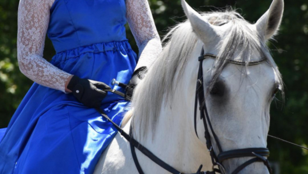 DETALJI BIZARNE NESREĆE U KIKINDI: Konj teško povredio tinejdžera