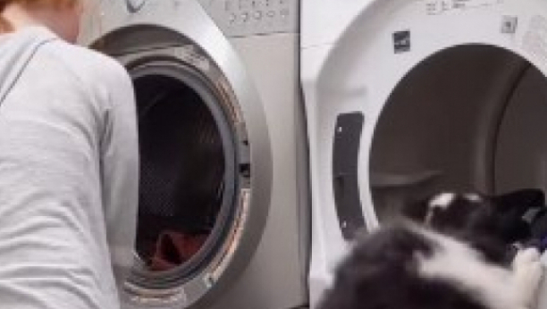 MOŽE LI I VAŠ LJUBIMAC OVO? HIT SNIMAK OSVOJIO INTERNET! Pas pomaže vlasnici u kućnim poslovima (VIDEO)