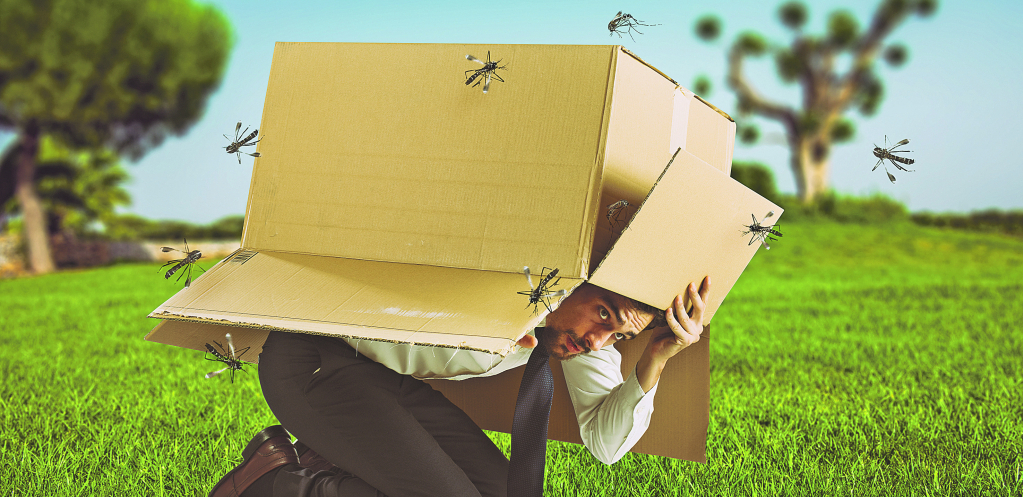 DOMAĆA SREDSTVA PROTIV KOMARACA Umesto da kupujete skupe preparate protiv ujeda insekata, napravite delotvorne biljne rastvore