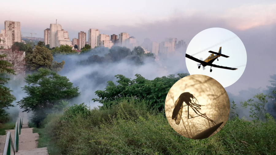 GRADONAČELNIK OTKRIO Pojačano suzbijanje komaraca na lokacijama gde je otkriven virus Zapadnog Nila