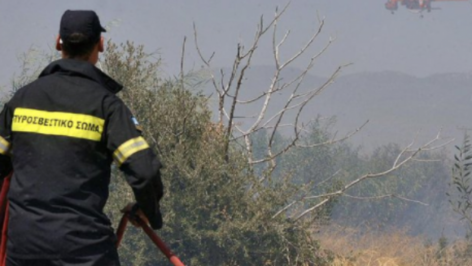 BUKTI POŽAR U GRČKOM LETOVALIŠTU Ugrožena čuvena plaža