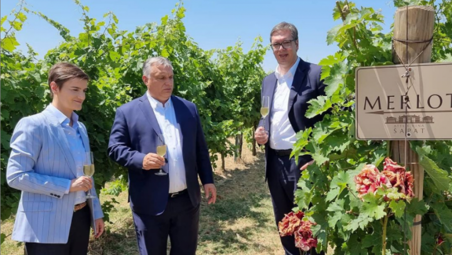 VUČIĆ I ORBAN OTIŠLI U SREM Šetnja kroz vinograd sa čašom vina, a zdravici se pridužila i premijerka Ana Brnabić (FOTO)