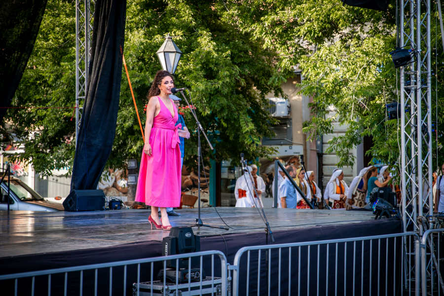 Vesna Šašić: Sombor u zagrljaju filma