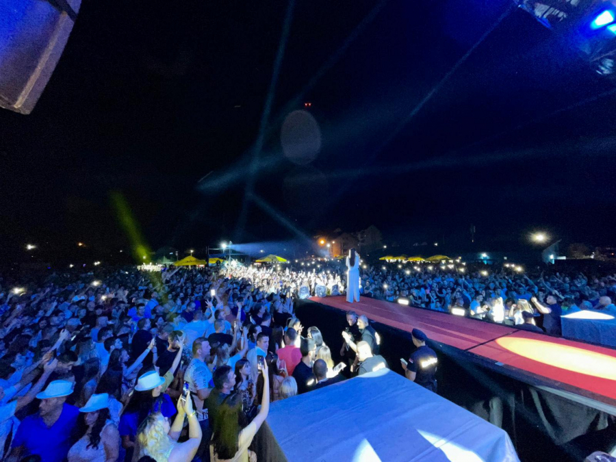 CECA NA DEVETOM MESTU Ovo su najposećeniji koncerti svih vremena, naša muzička zvezda u društvu Springstina i Sinatre